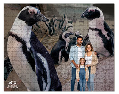 500-Piece Puzzle 1/EA